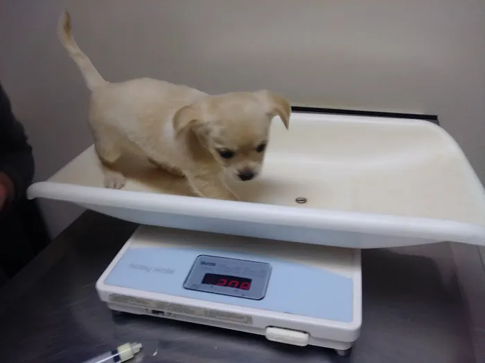 Cascade Veterinary Clinic 12
