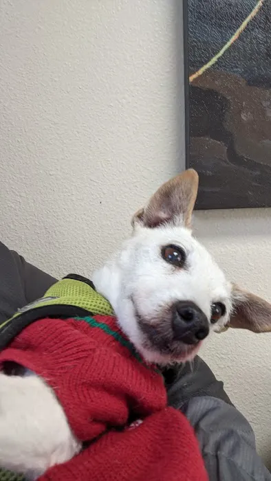 Cascade Veterinary Clinic 12