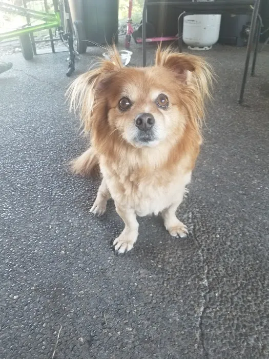Cascade Veterinary Clinic 12