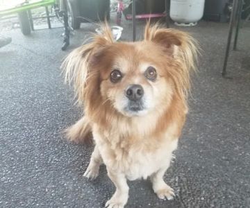 Cascade Veterinary Clinic