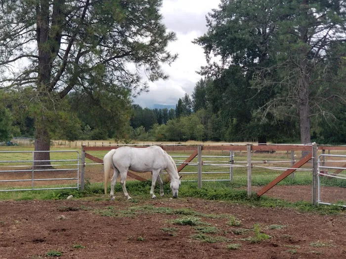 Foothills Veterinary Hospital/Performance Equine 12