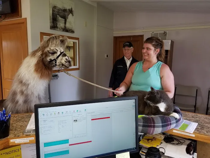Foothills Veterinary Hospital/Performance Equine 12