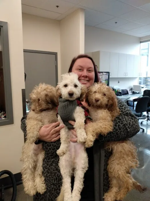 BoosterPet Veterinary Care & Urgent Care in Bonney Lake 12