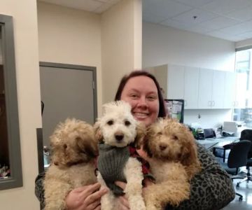 BoosterPet Veterinary Care & Urgent Care in Bonney Lake