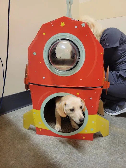 BoosterPet Veterinary Care & Urgent Care in Bonney Lake 12