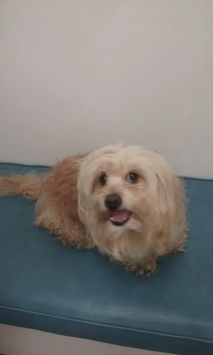 River Road Animal Hospital 12
