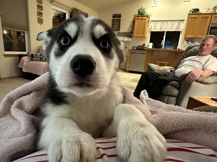 River Road Animal Hospital 12