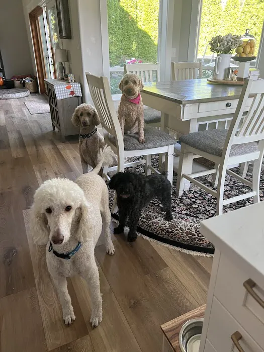 River Road Animal Hospital 12