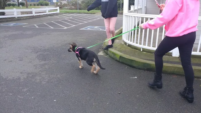 River Road Animal Hospital 12