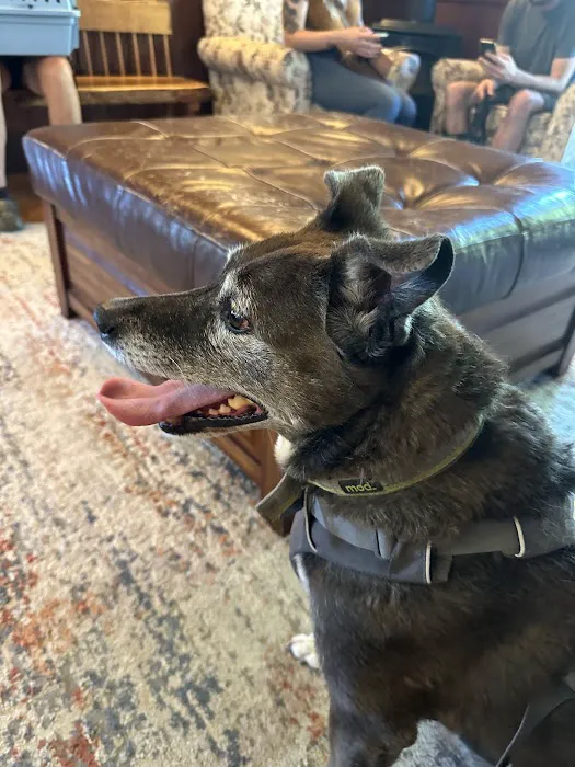 Farris Veterinary Clinic 12