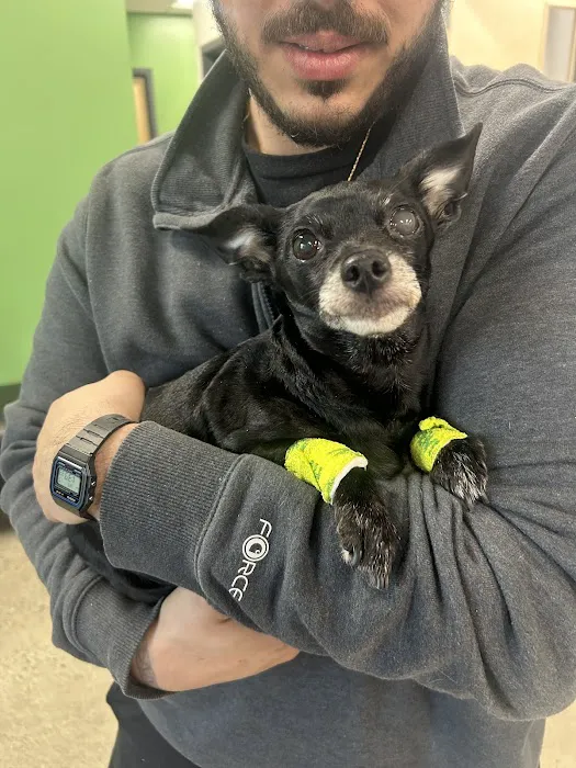 Heart and Soul Veterinary Center 12