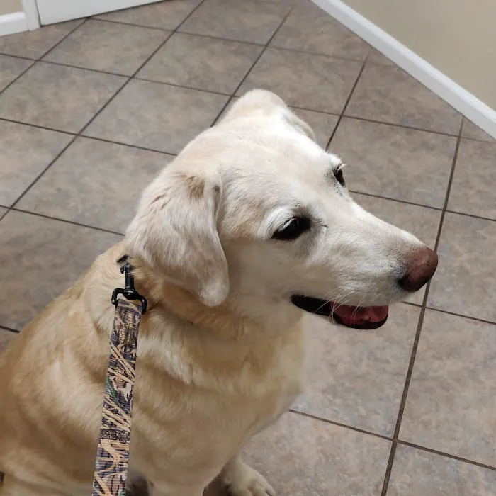 University Place Veterinary Hospital 12