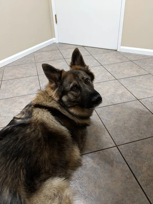 University Place Veterinary Hospital 12