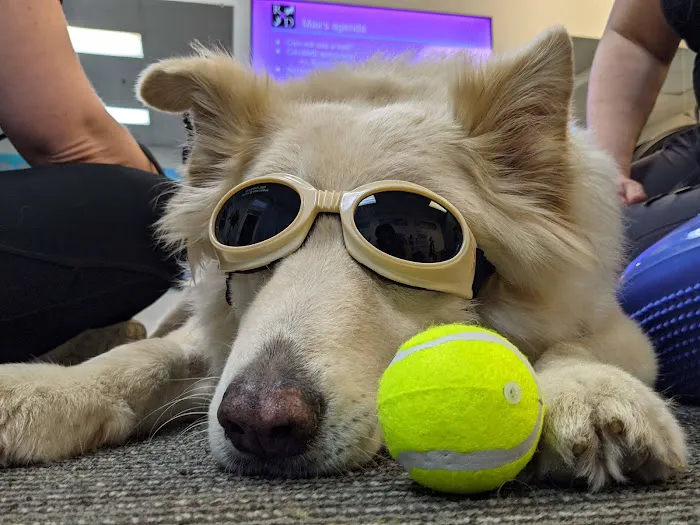 Ruff Day Veterinary Services LLC 12