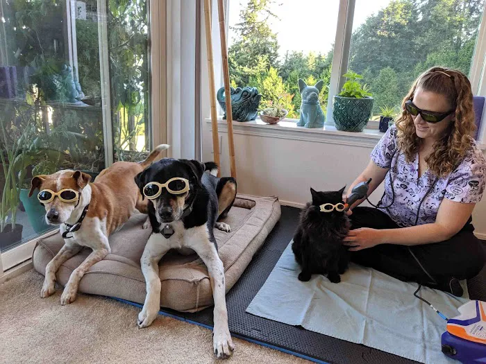Ruff Day Veterinary Services LLC 12