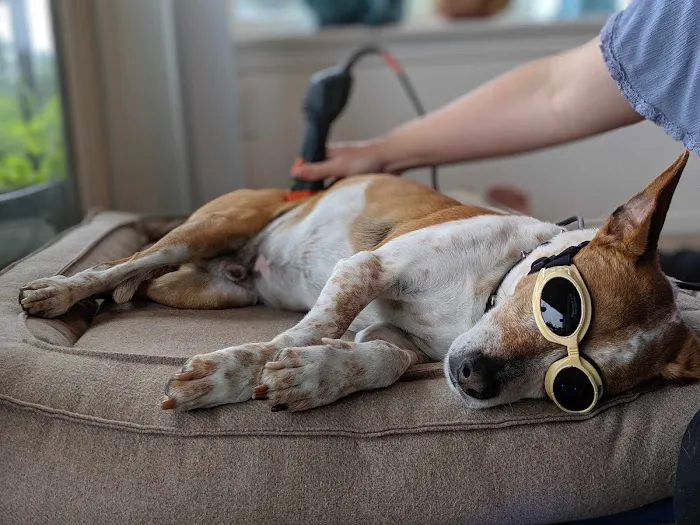 Ruff Day Veterinary Services LLC 12