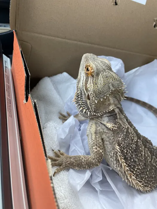 Evergreen Avian and Exotic Animal Hospital 12