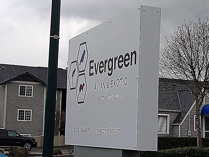 Evergreen Avian and Exotic Animal Hospital 12