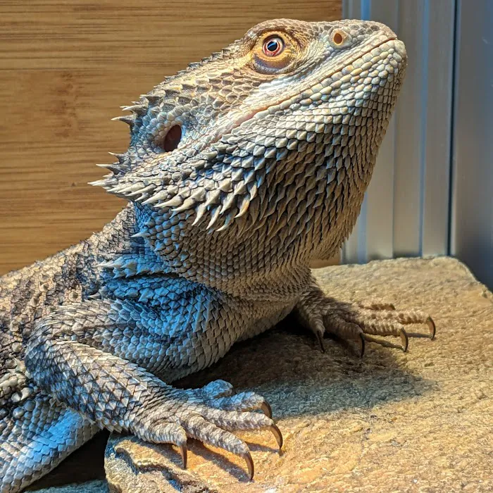 Evergreen Avian and Exotic Animal Hospital 12