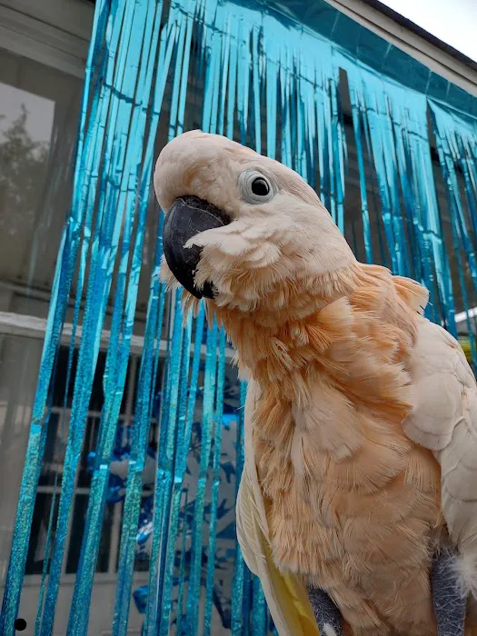 Evergreen Avian and Exotic Animal Hospital 12