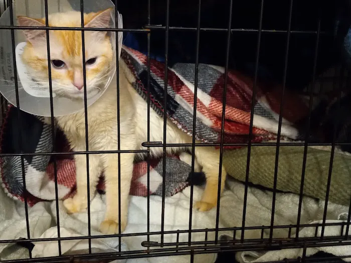 Northwest Spay & Neuter Center 12