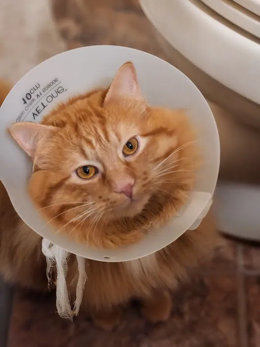 Northwest Spay & Neuter Center 12
