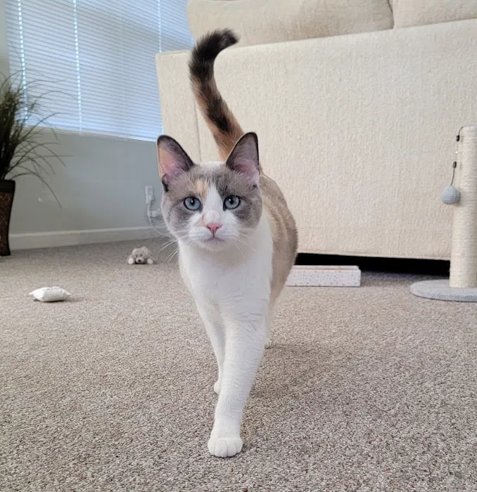 Northwest Spay & Neuter Center 12