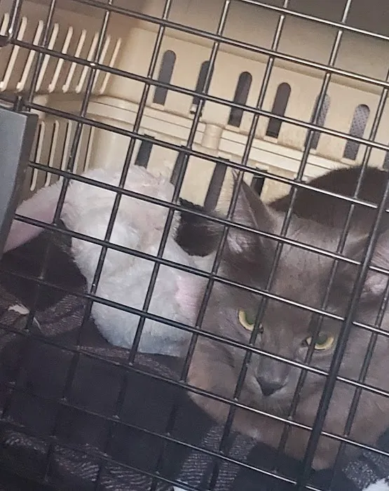 Northwest Spay & Neuter Center 12