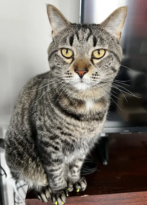 Northwest Spay & Neuter Center 12