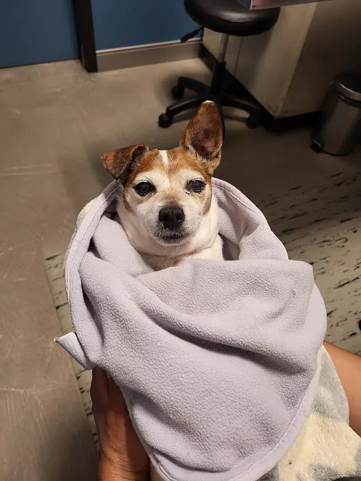 Summit Veterinary Referral Center 12
