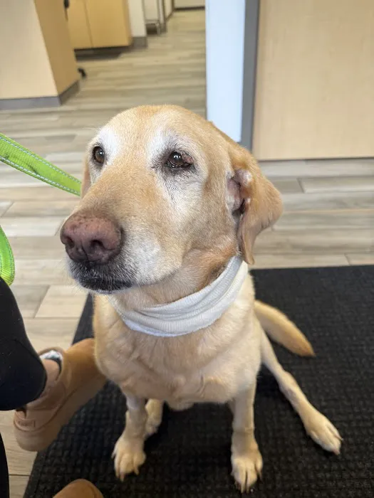 Summit Veterinary Referral Center 12
