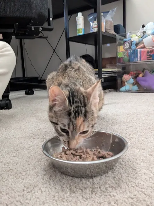 Animal Care Clinic 12