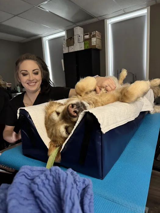 South Sound Veterinary Imaging 12