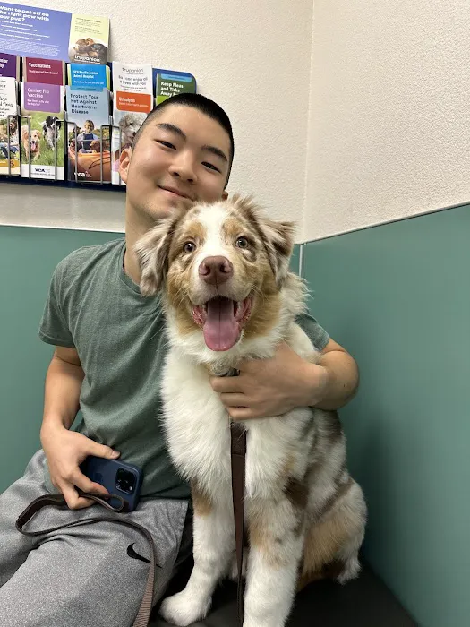 VCA Pacific Avenue Animal Hospital 12