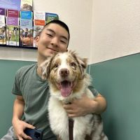 VCA Pacific Avenue Animal Hospital ico