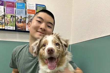 VCA Pacific Avenue Animal Hospital