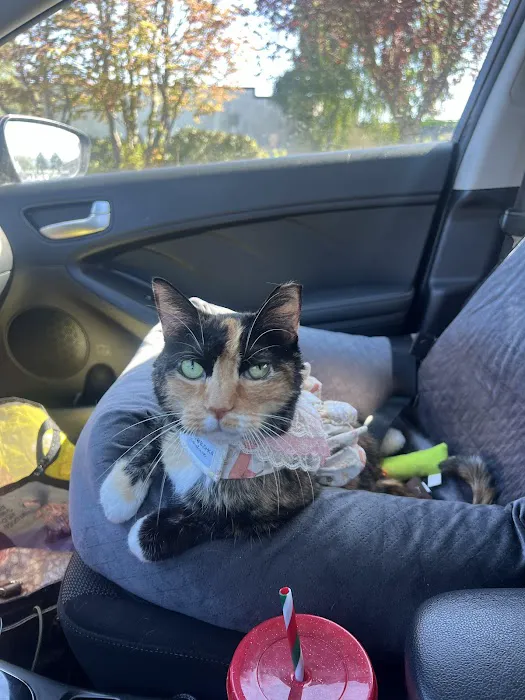 VCA Pacific Avenue Animal Hospital 12