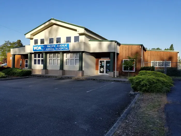 VCA Pacific Avenue Animal Hospital 12