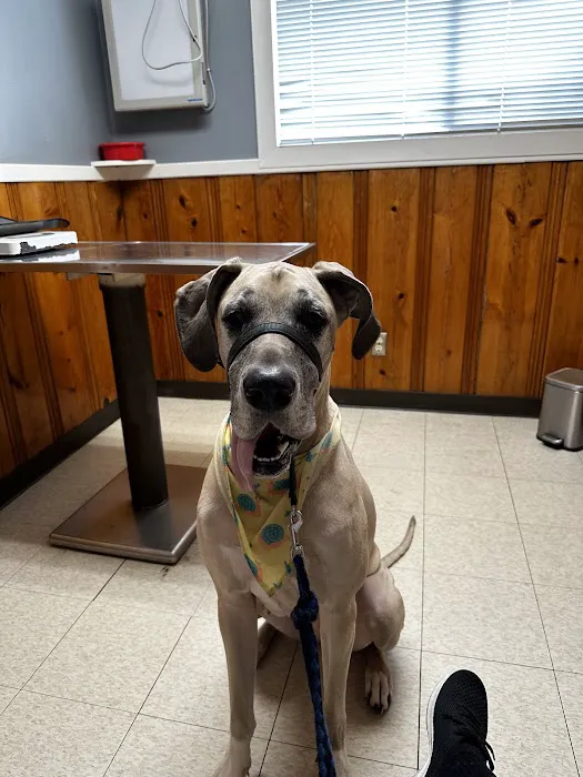 Custer Road Veterinary Clinic 12
