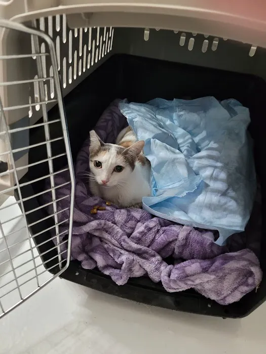 Alamont Veterinary Clinic 12