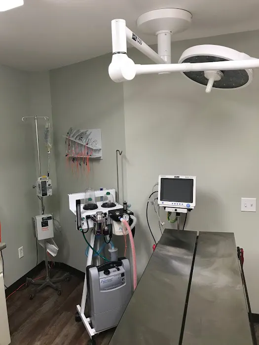 Star Hill Veterinary Clinic 12