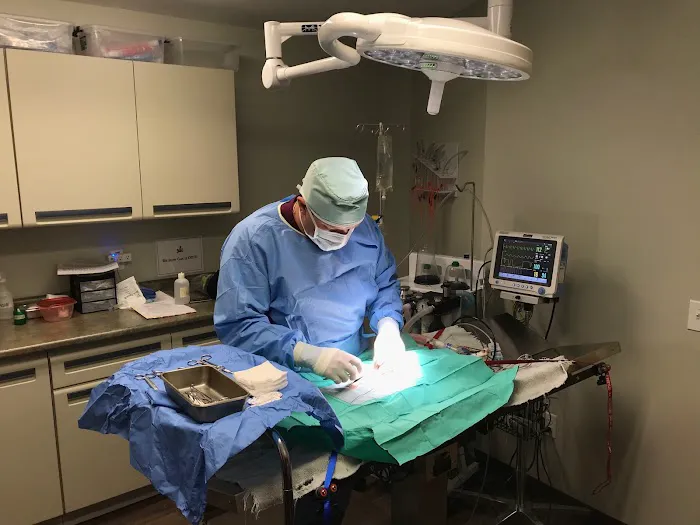 Star Hill Veterinary Clinic 12