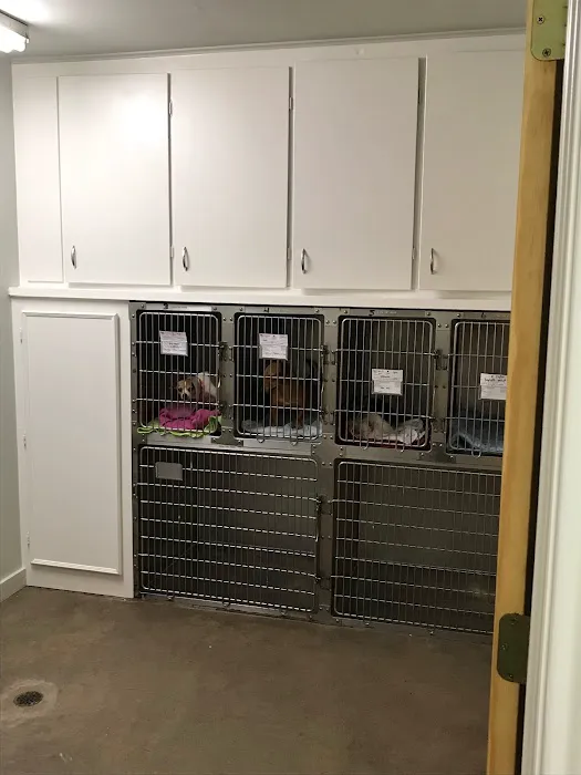 Star Hill Veterinary Clinic 12