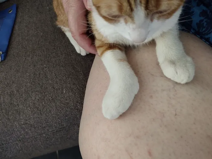 Star Hill Veterinary Clinic 12