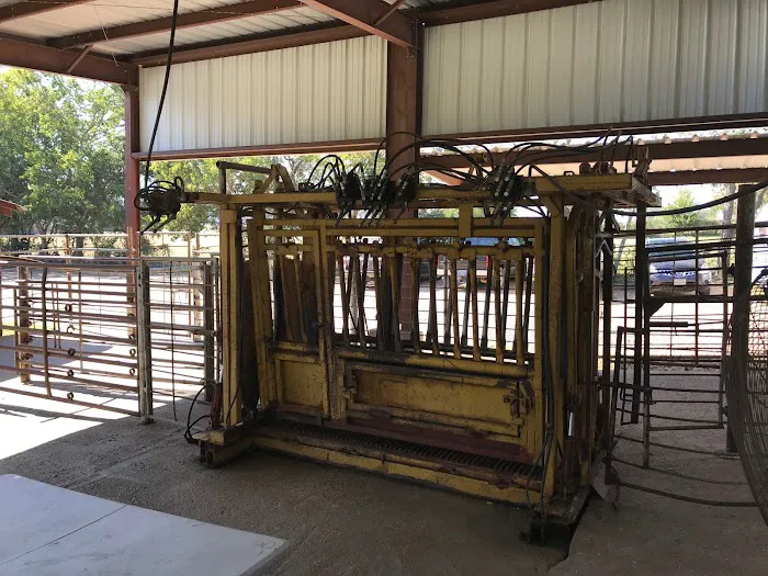 Star Hill Veterinary Clinic 12