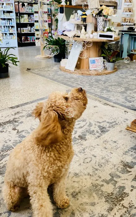 Main Street Animal Hospital 12