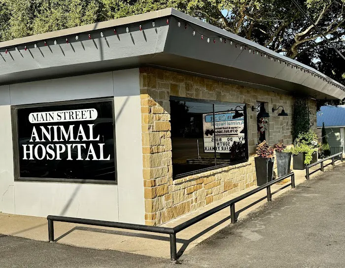 Main Street Animal Hospital 12
