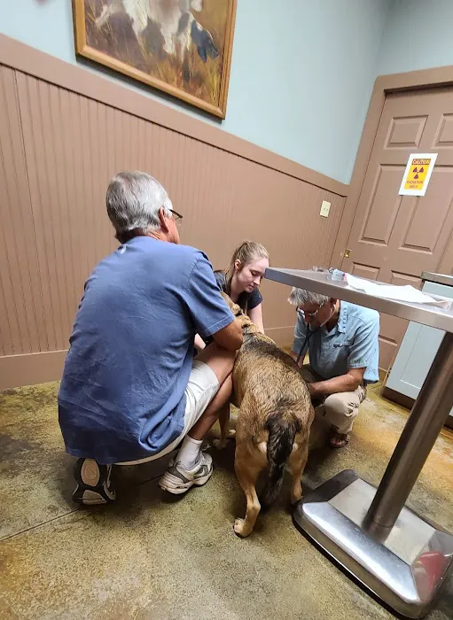 South Central Veterinary Services 12