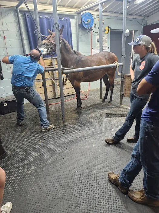 Brazos Valley Equine Hospitals 12