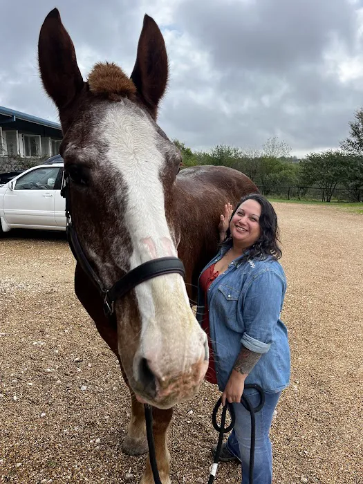 Brazos Valley Equine Hospitals 12